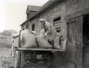 A member of the Women's Land Army loading sacks on a trailer, c1940